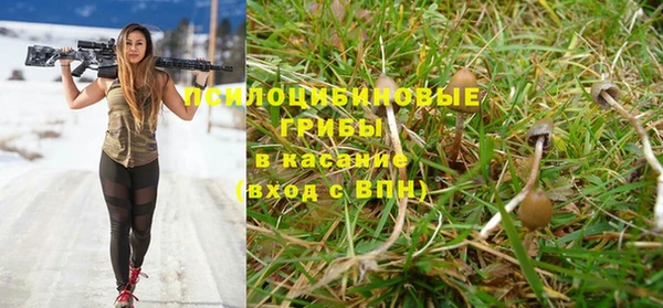apvp Балахна
