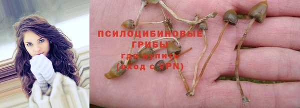 кокс Аркадак