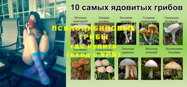 кокс Аркадак