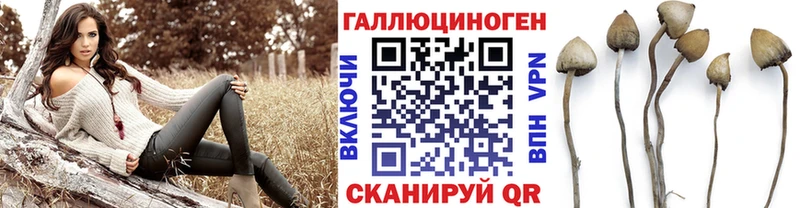 Купить закладки  Конаково  Галлюциногенные грибы Psilocybe 